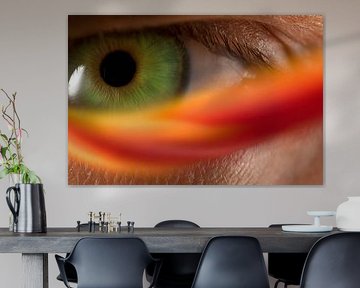 portrait de femme en couleur sur Egon Zitter