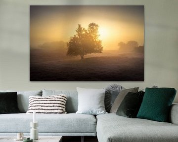 Tree in the mist at sunrise - Gasterse Duinen by KB Design & Photography (Karen Brouwer)