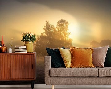 Boom in de mist bij zonsopkomst – Gasterse Duinen