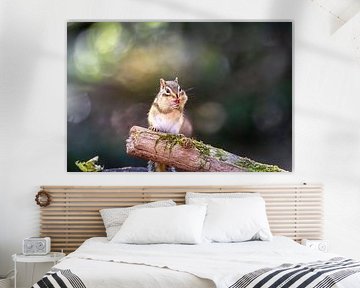 Sibirisches Erdhörnchen. von Anneke Hooijer