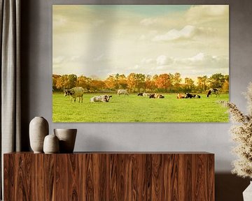 Cows by Hetty van der Zanden