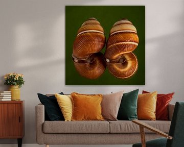Wij zijn niet thuis: Twee lege huisjes in het groen van Marjolijn van den Berg