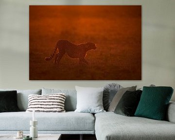 Rotes Licht von Marco Pozzi