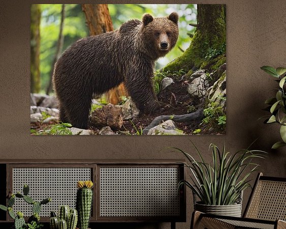 Aperçu de la chambre