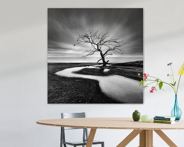 Der weinende Baum