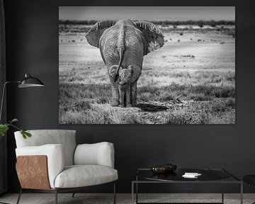 BabyElephant-BW by Marcel Egger