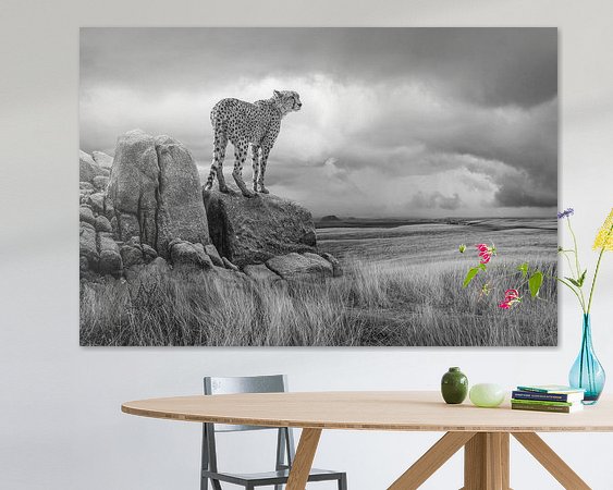 Aperçu de la chambre