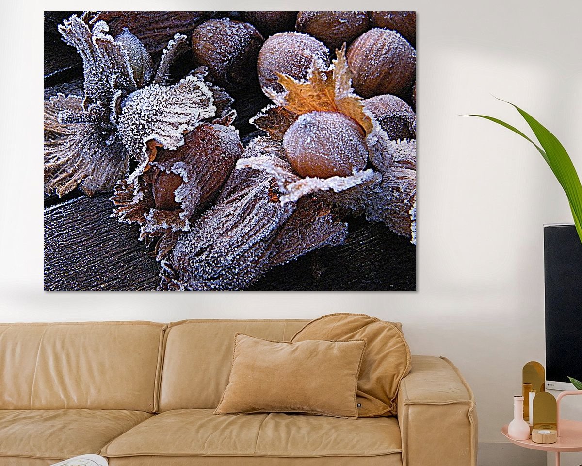 Raumvorschau