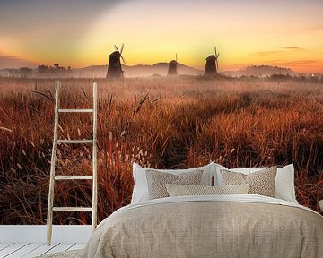 Herbstmorgen von Tiger Seo