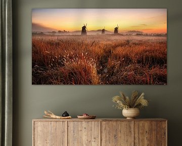 Herbstmorgen von Tiger Seo