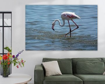Naar voedsel zoekende flamingo van Rietje Bulthuis