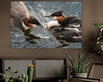 Futen met Jong | Amsterdamse Grachten van Waleson Photography