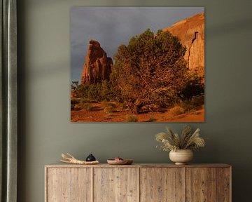 Monument Valley von Matthias Brix