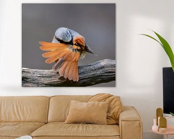 Ventilateur orange