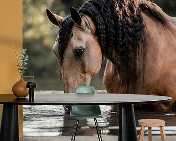 Horse Drinking on the Shore in Soft Evening Light by Femke Ketelaar