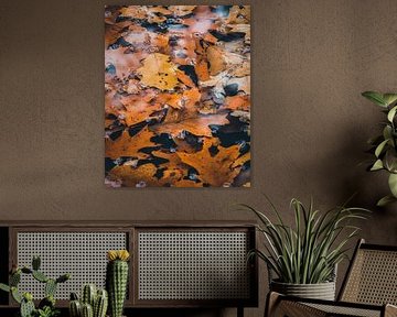Herfstbladeren in Stilte van Marcel van Oene