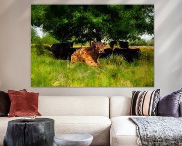 Schotse Hooglanders genieten in de schaduw van Geert Van Baelen