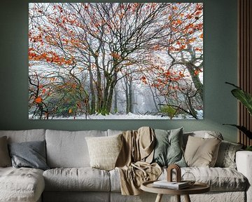 Loofbomen in winterse mist van Heiko Meier