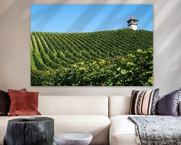 s'Vignoble Türmle près de Meersburg