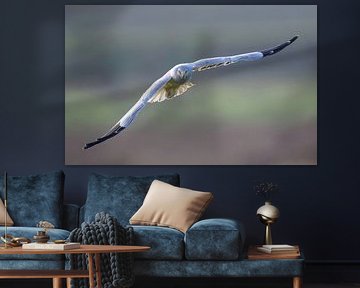 La règle bleue