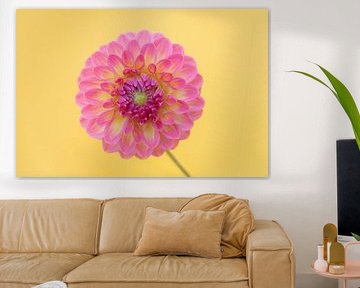 Liebe zu Dahlien's 2 von Cindy Mulder