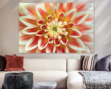 Liefde voor dahlia's 3 van Cindy Mulder