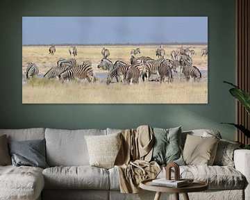 Rayures dans la savane sur Zeno Swijtink