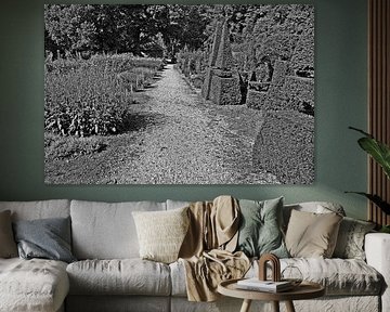 Conifer garden in black and white. by Jose Lok