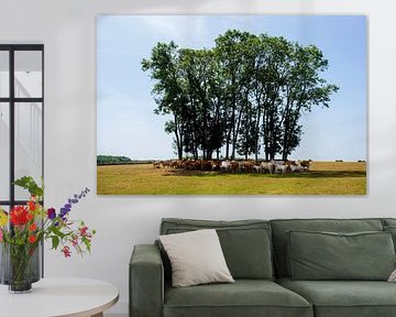 Koeien schuilen voor de hitte in La Douce France van Blond Beeld