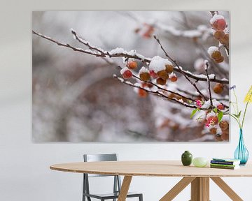 Sneeuw op sierappel van Jim Plaum