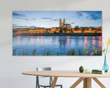 Uitzicht over de Elbe naar Maagdenburg bij nacht van t.ART