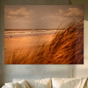 The Spy who came in from the Dunes