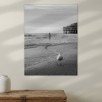 A Summer Evening at Sea pt. 1