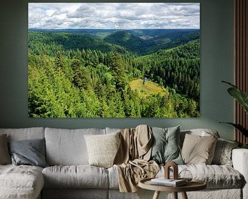 Ellbachblick im Schwarzwald