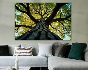 Low-Angle View of Deciduous Tree with Canopy and Trunk Texture