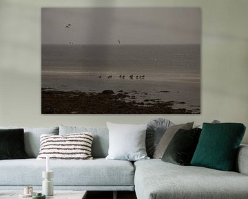 Vogels op het strand