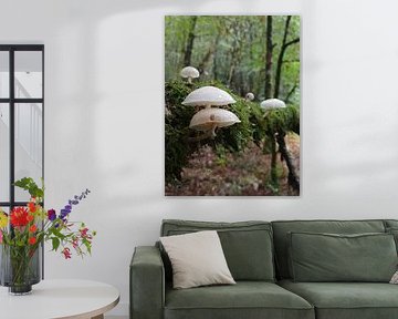 Champignons dans la forêt des contes de fées sur Jacqui Huijbers-Bolt