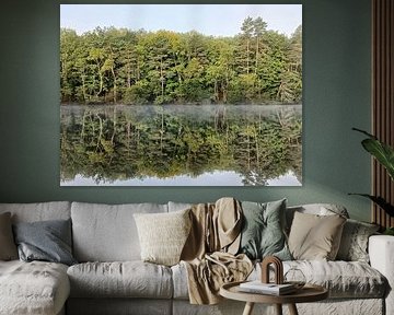Forest at the edge of a lake with mist by Jacqui Huijbers-Bolt
