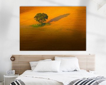 Landschapsfoto van een klassiek Toscaans landschap in de heuvels van Toscane van Bas Meelker