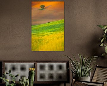 Landschapsfoto van een solitaire boom in het golvende heuvelland van Bas Meelker