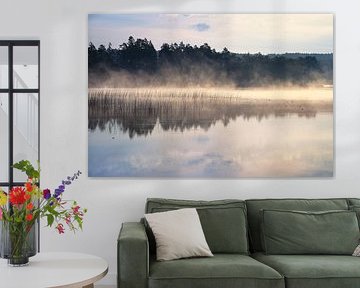 Fog rising into the water at dawn on a Swedish lake by Martin Köbsch