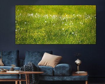 Green meadow by Bo Valentino