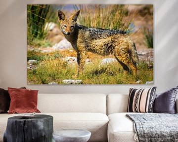 Oplettende jakhals in Etosha Nationaal Park, Namibië van Rietje Bulthuis