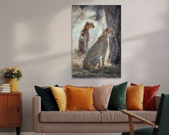 Aperçu de la chambre