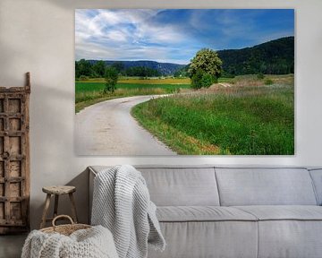 Cycle path in the idyllic Altühltal valley by ManfredFotos