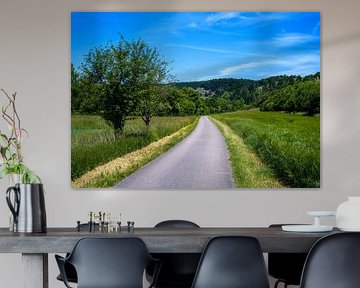 Cycle path in the idyllic Altühltal valley by ManfredFotos