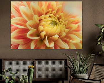 Liebe zu Dahlien's 5 von Cindy Mulder