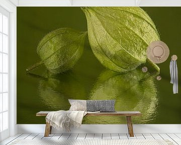 Groen: Twee groene lampionnetjes in een groen vierkant van Marjolijn van den Berg