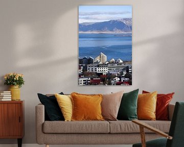 Zee vanuit Reykjavik