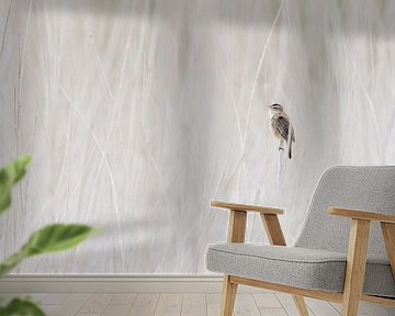 Singing sedge warbler in reed by Caroline Piek